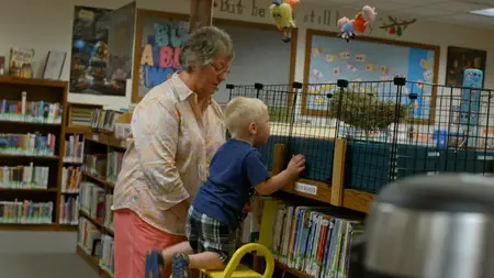 Free for All: The Public Library (2025)