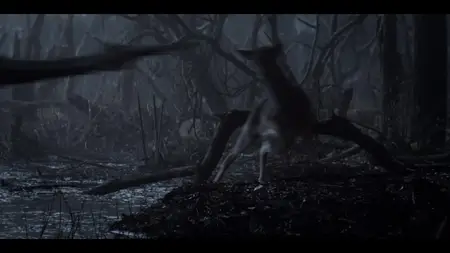The Witcher: A Look Inside the Episodes S01E01