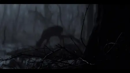 The Witcher: A Look Inside the Episodes S01E01