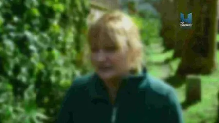Viasat History - Medieval Murder Mysteries: Series 1 (2016)
