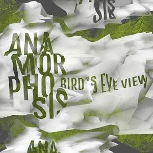 Anamorphosis - Bird's Eye View (2023) [Official Digital Download]