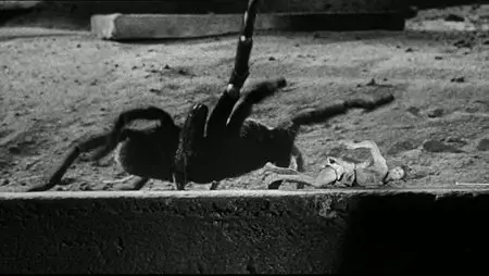 The Incredible Shrinking Man (1957) RE-UP