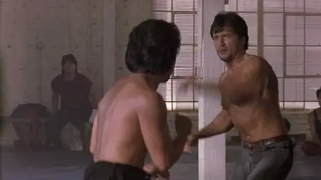 The Perfect Weapon (1991)