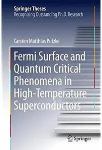 Fermi Surface and Quantum Critical Phenomena of High-Temperature Superconductors [Repost]