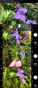 iPhone Photography | Take Professional Photos On Your iPhone