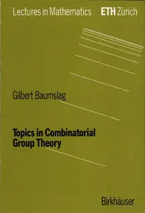 Topics in Combinatorial Group Theory