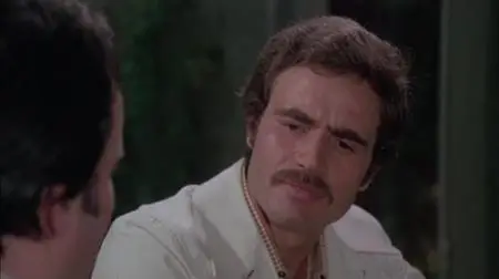 ...a tutte le auto della polizia... (1975)