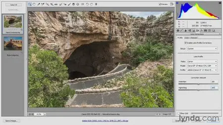 Lynda - Introducing Photoshop: Photography [repost]