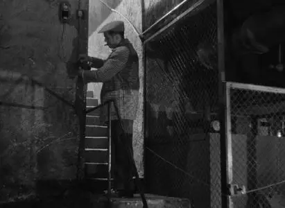 Du rififi chez les hommes (1955)