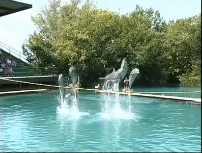 Золотой глобус. 24. Флорида