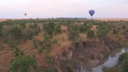 Safari Africa (2011)