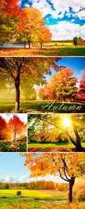 Stock Photo - Autumn Trees