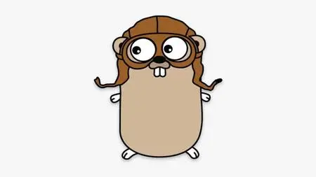 A Sweet Bootcamp on Golang [Feb 2020]