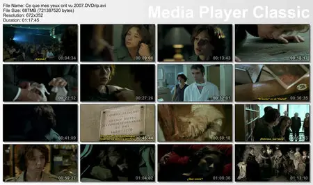 Ce que mes yeux ont vu (Le mystère Watteau) 2007