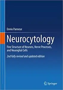 Neurocytology: Fine Structure of Neurons, Nerve Processes, and Neuroglial Cells (Repost)