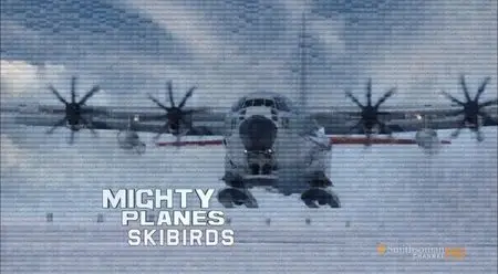 DC Mighty Planes - Skibirds (2012)