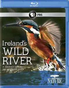Ireland's Wild River (2014)