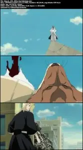 Bleach - E293: Hitsugaya, Enraged! Blade of Hatred!