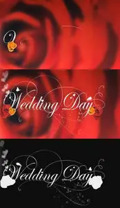iStockvideo - Wedding Day