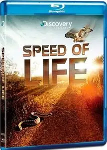 Discovery Channel - Speed of Life (2010)