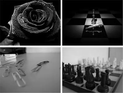 Black Wallpapers