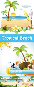 Tropical Beach Vector