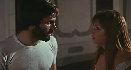 A Quiet Place in the Country / Un tranquillo posto di campagna (1968)