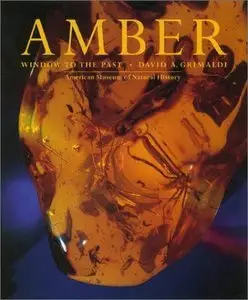 Amber: Window to the Past (repost)