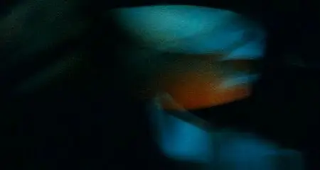 The City Of Violence (2006)