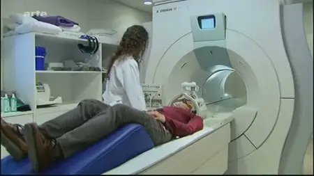 (Arte) En finir avec la peur, comment la science peut agir sur nos souvenirs (2011)