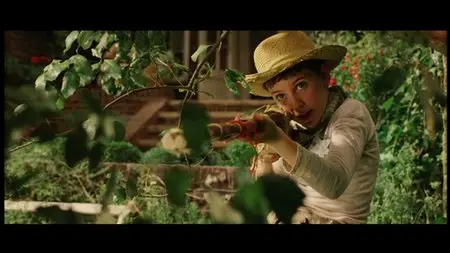 Finding Neverland (2004)