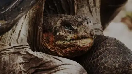 Extinct or Alive S02E01
