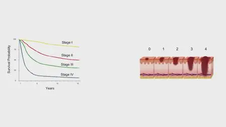 Machine Learning Engineer Nanodegree nd009t v1.0.0 (2018)