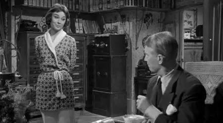 Love in the Afternoon (1957)