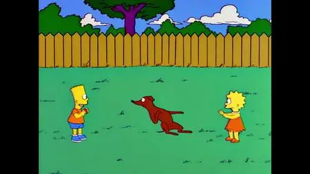 Die Simpsons S06E20