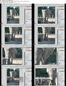 PhotoshopCafe - Photoshop Secrets Wacom Tablets and Photoshop CS5