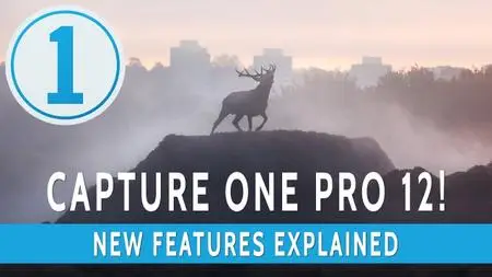 Capture One Pro 12.0.4.12 (x64) Multilingual