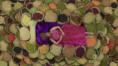 Seed: The Untold Story (2016)