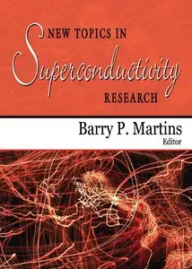 New Topics in Superconductivity Research  
