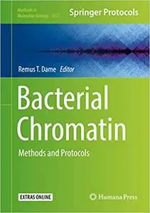 Bacterial Chromatin: Methods and Protocols (Methods in Molecular Biology