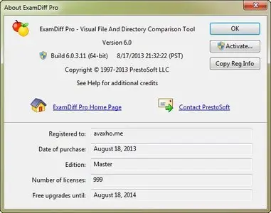 ExamDiff Pro 6.0.3.11 (x86/x64)