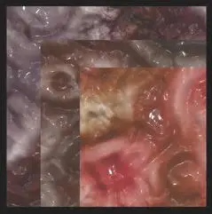 Gross Textures Brushes for Photoshop