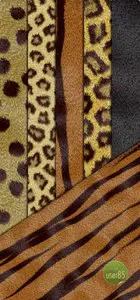 Animal Fur Texture