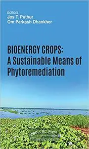 Bioenergy Crops: A Sustainable Means of Phytoremediation