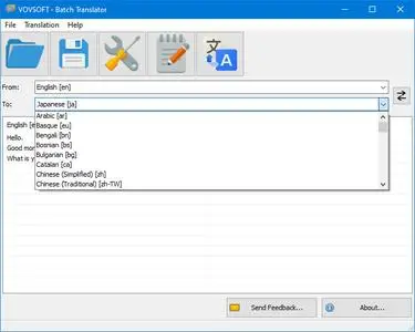 VovSoft Batch Translator 3.5.0