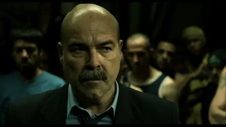 Cell 211 (2009)
