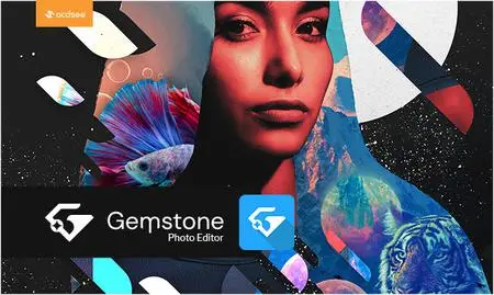 ACDSee Gemstone Photo Editor 12.1.0.353 (x64)