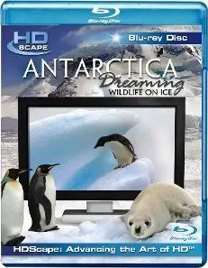 HDScape: Antarctica Dreaming - WildLife On Ice / HDScape: Антарктика - Дикая Жизнь На Льду (2006) [ReUp]