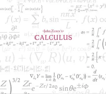 John Zorn, Brian Marsella, Trevor Dunn & Kenny Wollesen - John Zorn's Calculus (2020)