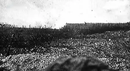 Der erste Weltkrieg aus der Luft